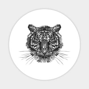 Black and White Tiger Magnet